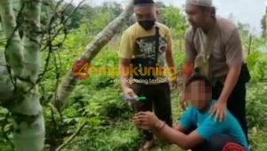 lampukuning id pelaku