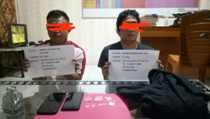 lampukuning id pelaku narkotika