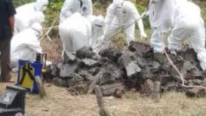 lampukuning_id_pemakaman lampukuning id pemakaman