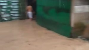 foto-genangan-air foto genangan air