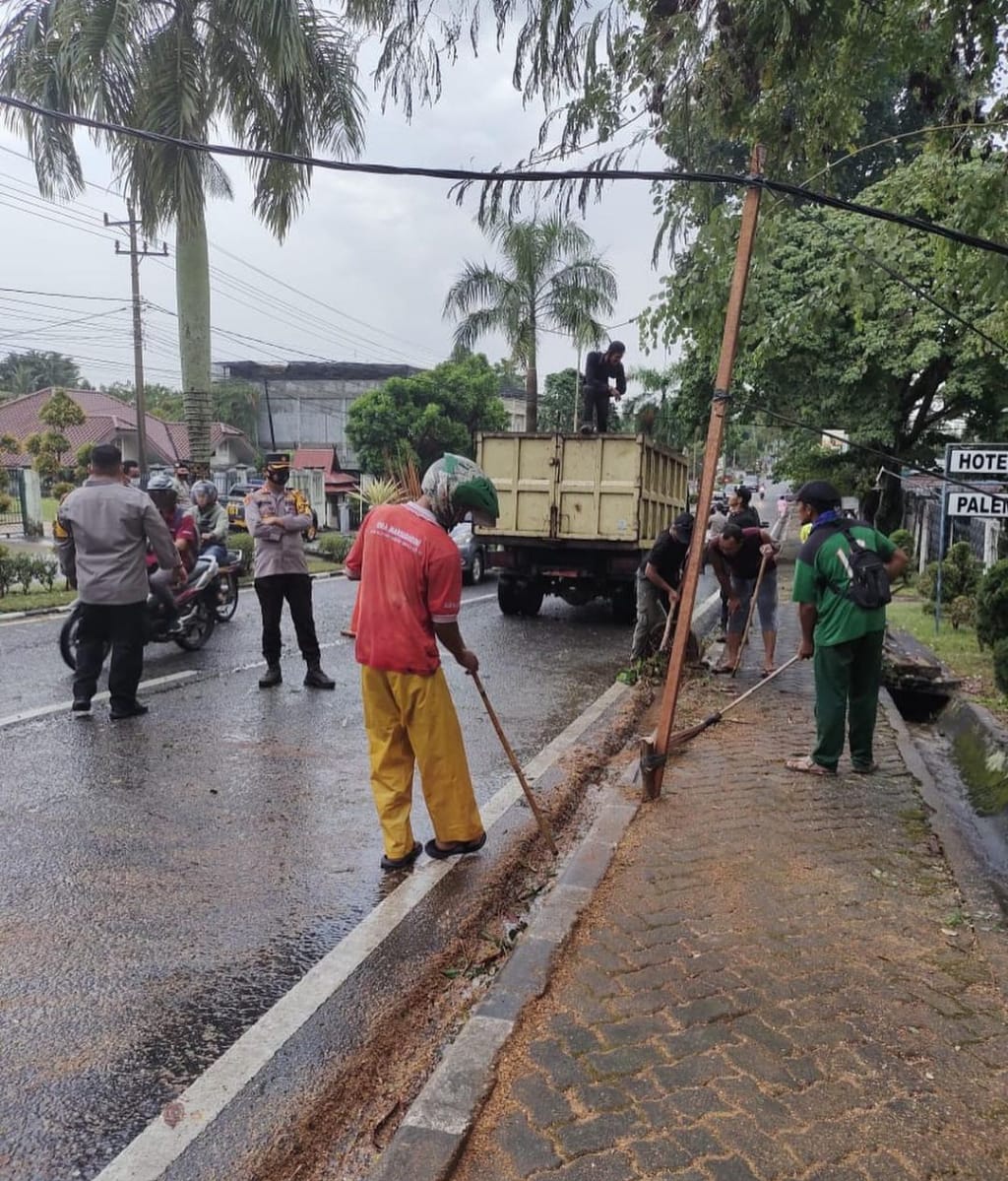 foto petugas pertamanan kota jambi