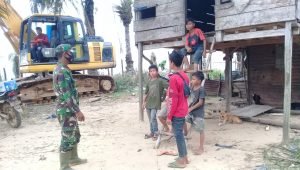 kodim0416-tmmd-112 kodim0416 tmmd 112 2