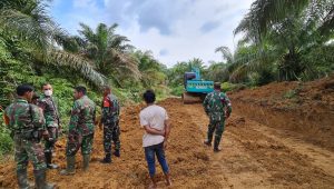 kodim0416-tmmd-112 kodim0416 tmmd 112