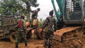 tmmd112-kodim0416 tmmd112 kodim0416 1