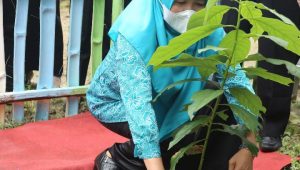 foto hj hesti alharis ketua pkk jambi