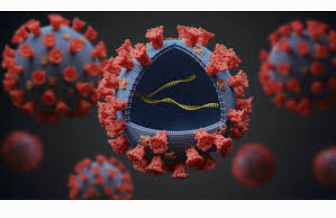 foto ilustrasi virus