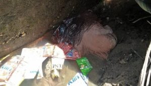 foto lokasi jasad bayi di temukan
