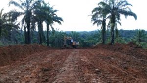 foto pembukaan jalan baru tmmd112