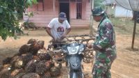 foto satgas tmmd bantu orang tua asuh
