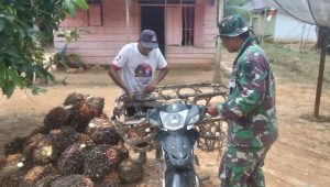 foto satgas tmmd bantu orang tua asuh