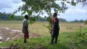 foto babinsa koramil