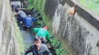 foto pekerja pakarkasih kota jambi