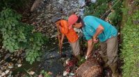 foto-pembersihan-sampah foto pembersihan sampah