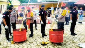 foto-pemusnahan-ganja foto pemusnahan ganja