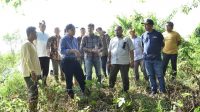 foto-pj-bupati-tebo Pj Bupati Aspan Tinjau Usulan Pembangunan Jembatan Sei. Belilas