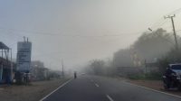 IMG 20220704 WA0002