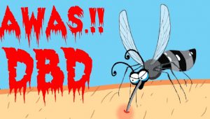 foto-dbd foto dbd