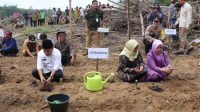 foto-gubernur-jambi Al Haris : Ini Upaya Dalam Menangani Inflasi di Provinsi Jambi
