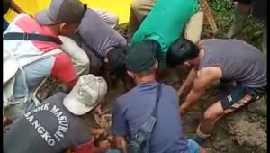 IMG_20221019_210000 IMG 20221019 210000