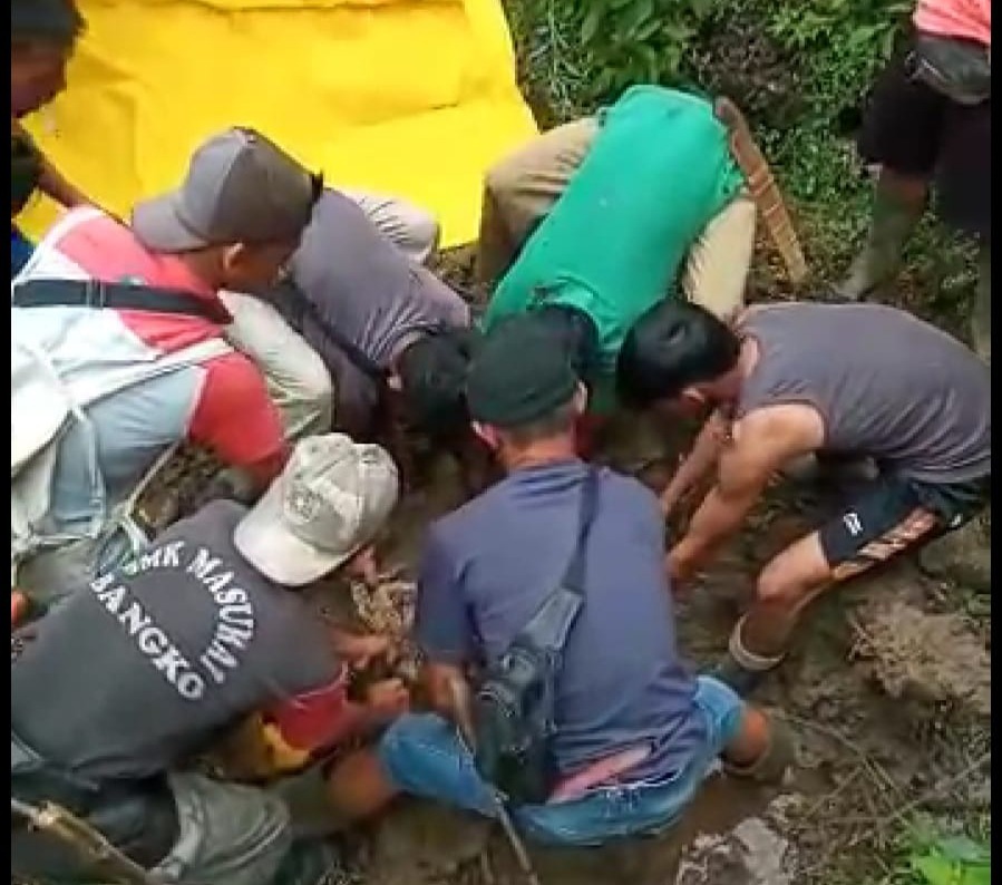 Gegara Buah Durian, Nyawa Melayang