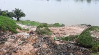 foto-lokasi-longsor-di-danau-sipin Terkait Longsor di Dua Titik di Kawasan Danau Sipin, Ini Kata Kabid SDA Dinas PUPR Kota Jambi