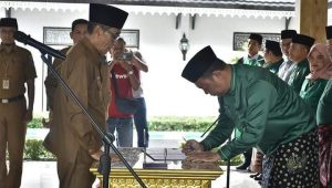 IMG 20230117 WA0004