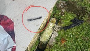 foto-bungkusan-hitam-diduga-narkotika foto bungkusan hitam diduga narkotika