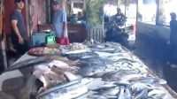 foto pasar ikan parit 2 kuala tungkal