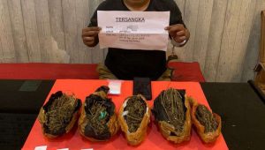foto-pelaku-narkoba foto pelaku narkoba