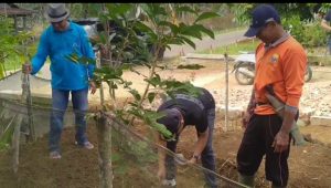 IMG_20230712_153143 IMG 20230712 153143