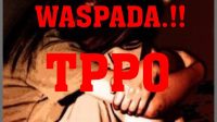 foto-ilustrasi-tppo foto ilustrasi tppo