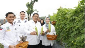 foto bupati bungo panen raya sayuran