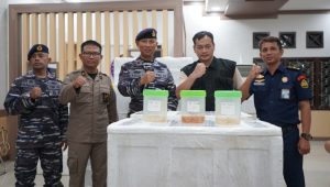 IMG 20240511 WA0015