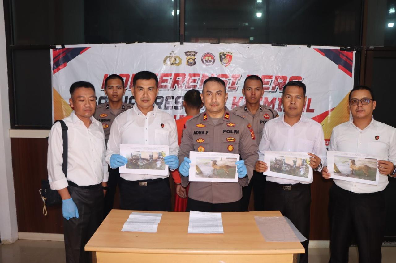 IMG 20240612 WA0032 1