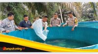 IMG 20241113 153801