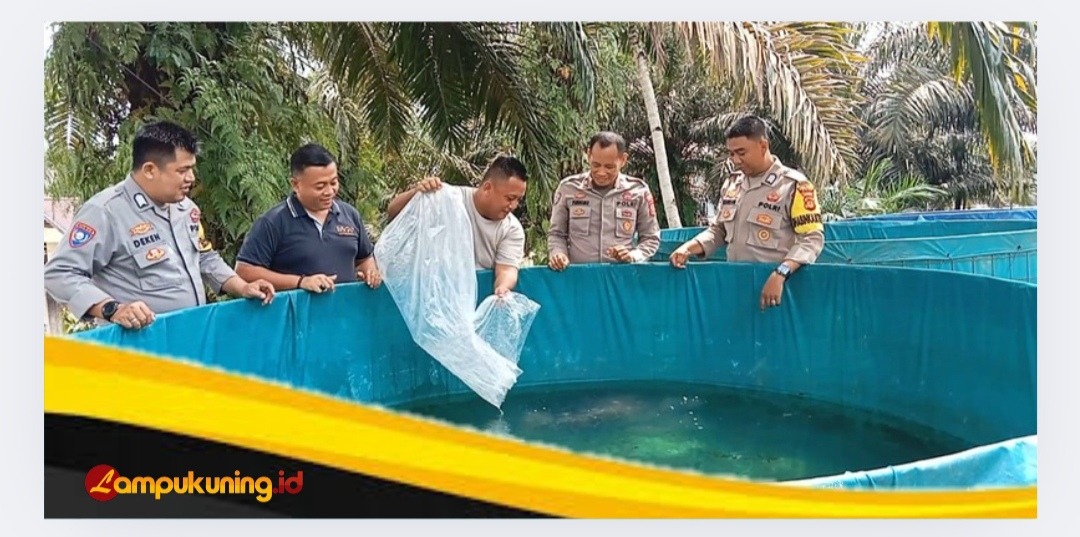 Dukungan Ketahanan Pangan Nasional, Polsek Pelepat Ilir Manfaat Lahan Kosong Untuk Lokasi Kolam Ikan
