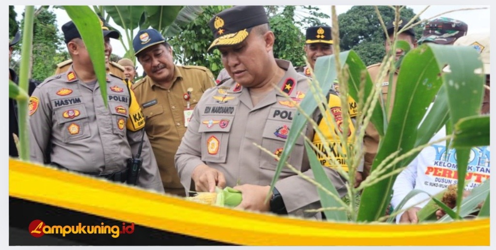 IMG 20241126 173016