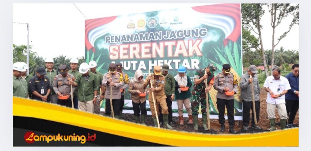IMG 20250121 155350