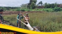 IMG_20250222_120831 Anggota SatgasTMMD Ke-123 Kodim 0416/Bute Bersama Warga Membuka Lahan Ketahanan Pangan Terpadu Seluas 2 Hektar