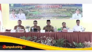 IMG 20250312 113011