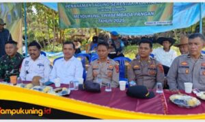 IMG 20251008 121451