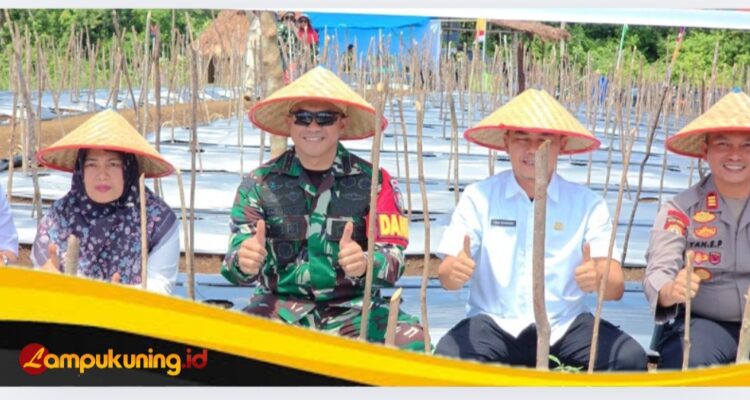 Guna Tekan Inflasi dan Ketahanan Pangan, Dandim Pungky Pimpin Gerakan Tanam Cabai Merah 