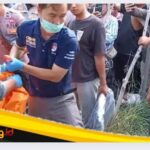 IMG_20251101_163651 IMG 20251101 163651