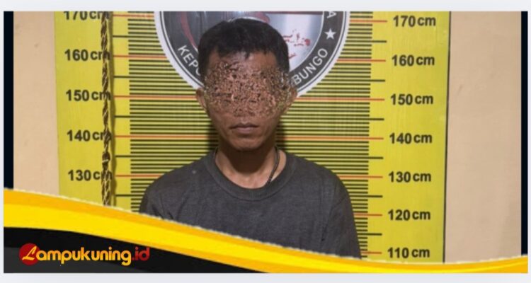 IMG_20251107_233554 IMG 20251107 233554