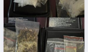 IMG_20251202_113712 IMG 20251202 113712