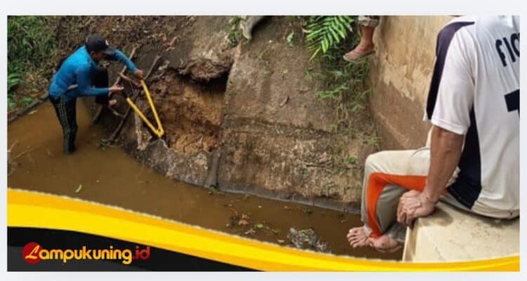 DAM Jebol, Petani Betung Bedarah Timur Harap Bantuan Pemkab Tebo