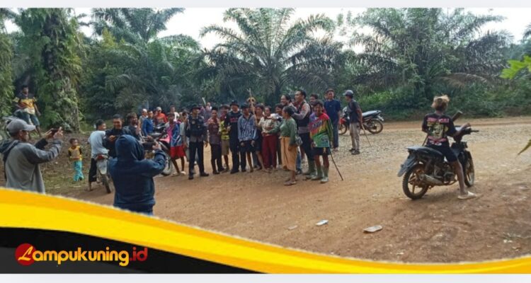 Dugaan Pencurian TBS Berujung Anarkis di PT.APL