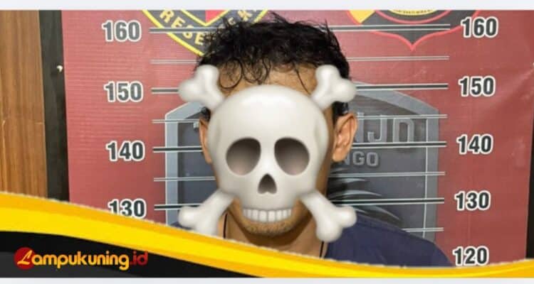 IMG_20260222_143324 IMG 20260222 143324