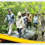 Wabup Katamso Dampingi Verifikasi Kemenhut RI di Kawasan Mangrove Pangkal Babu.
