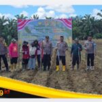 Polsek Pelepat Dukung Swasembada pangan, Tanam Jagung di Dusun Gapura Suci